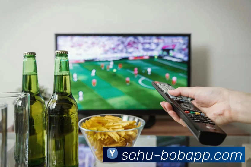BOB体育平台生态图